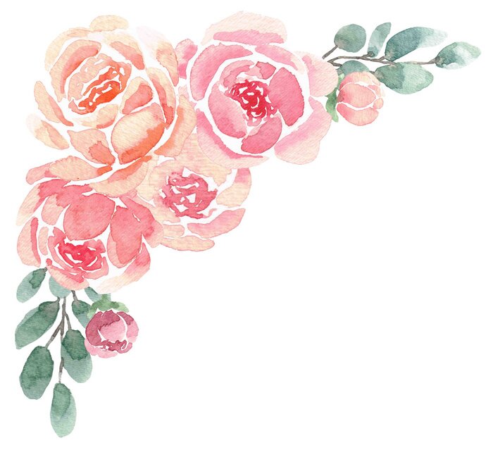 Fototapete Aquarellpfingstrosen mit grünen Blättern