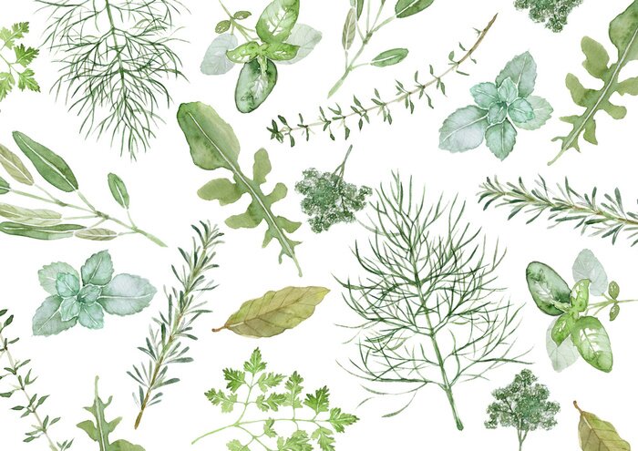 Fototapete Aquarellpflanzen vom Feld