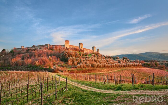 Fototapete Architektur der Toskana