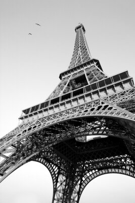 Fototapete Architektur in Paris