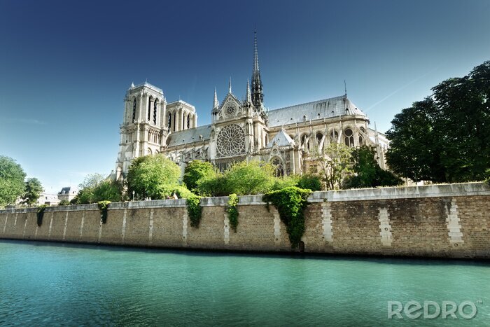 Fototapete Architektur von Notre Dame