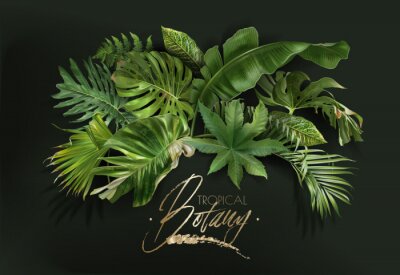 Fototapete Arrangement aus tropischen Pflanzen