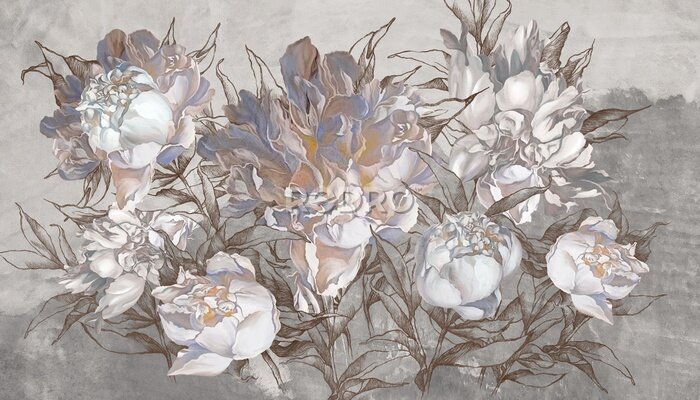 Fototapete Art drawing of pastel delicate peony flowers on a textured light and dark gray background, wallpaper for the interior