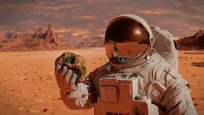 Fototapete Astronaut aufm Mars