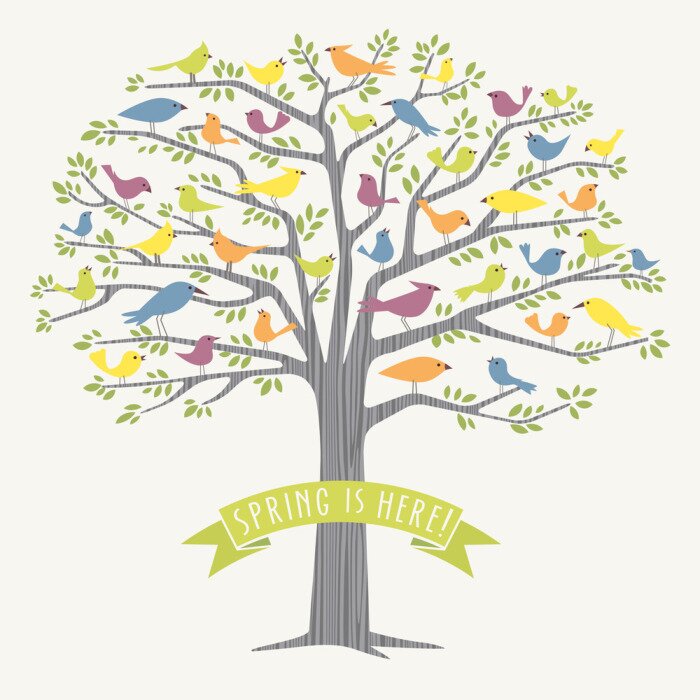 Fototapete auf einem Frühlingsbaum sitzende Vögel