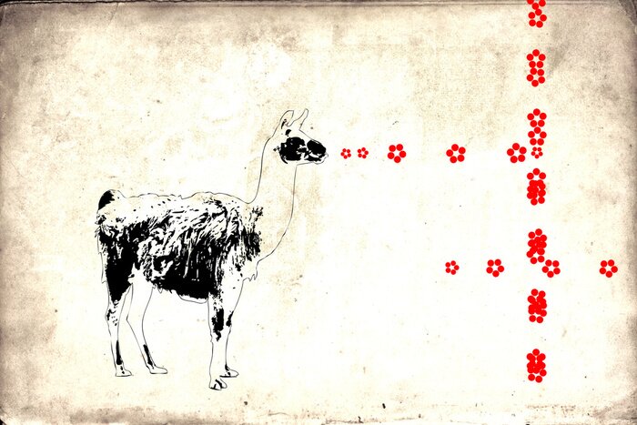 Fototapete Auf Mauer gemaltes Lama