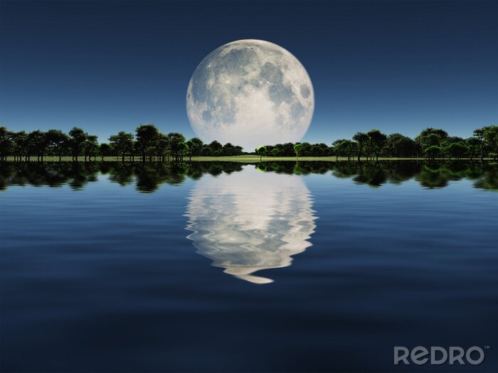 Fototapete Aufgehender Mond über einem See