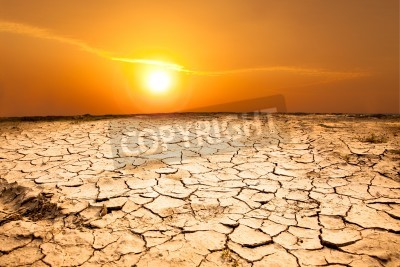 Fototapete Ausgetrockneter Wüstenboden