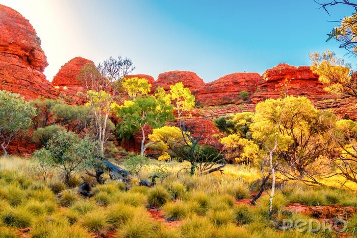 Fototapete Australien abgelegene Landschaften