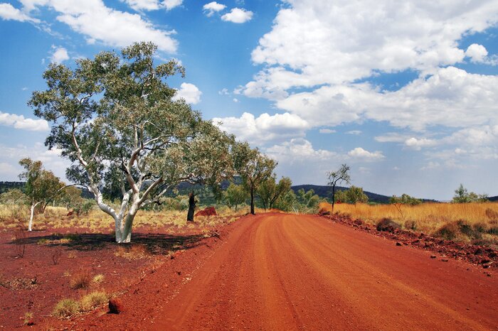 Fototapete Australischer Weg