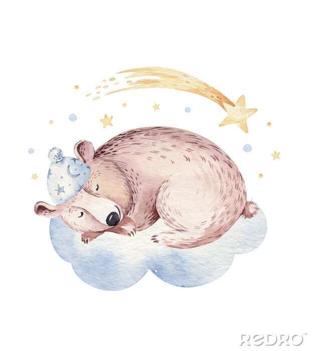 Fototapete Bär schlafend auf einer Wolke und Sternschnuppe