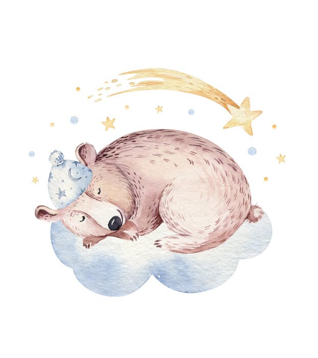 Fototapete Bär schlafend auf einer Wolke und Sternschnuppe