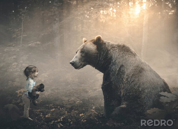 Fototapete Bären grau mit einem Mädchen
