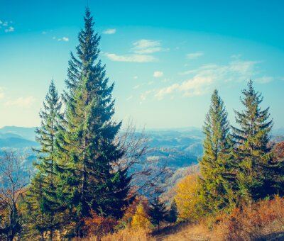 Fototapete Bäume am Berg