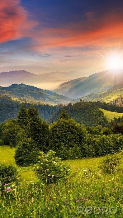 Fototapete Bäume Grün Berge und Himmel