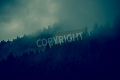Fototapete Bäume im Nebel