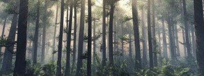 Bäume im Nebel.  Der Rauch im Wald am Morgen.  Ein nebliger Morgen zwischen den Bäumen.  3D-Rendering
