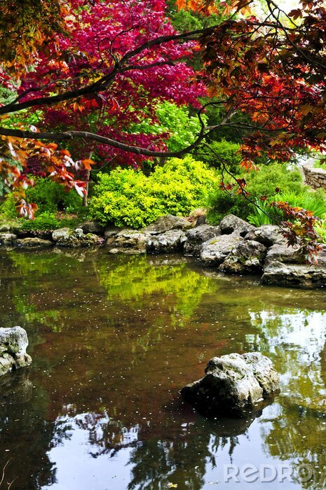 Fototapete Bäume im Zen-Garten