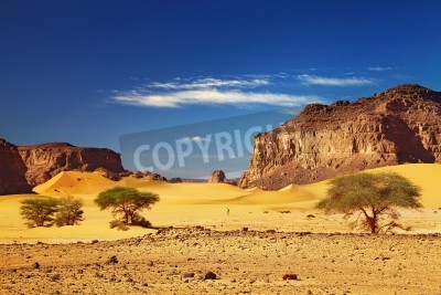 Fototapete Bäume in der Wüste