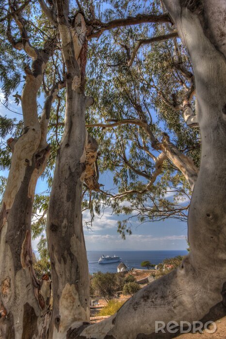 Fototapete Bäume in Griechenland