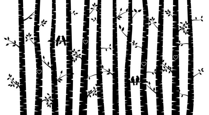 Fototapete Bäume mit Vögeln