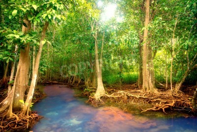 Fototapete Bäume und kleiner Fluss im Dschungel
