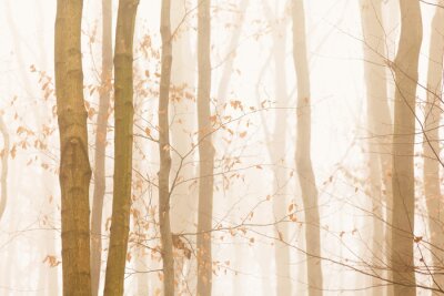 Fototapete Bäume verschwinden schnell in hellen gelben Nebel