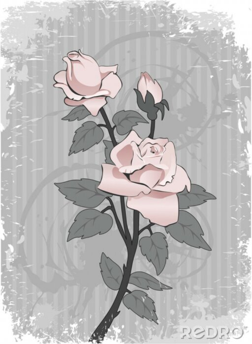 Fototapete Bakground mit rosa Rose