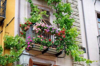 Fototapete Balkon mit blumen und pflanzen