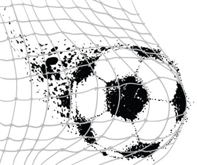 Fototapete Ball im Netz schwarz-weiß