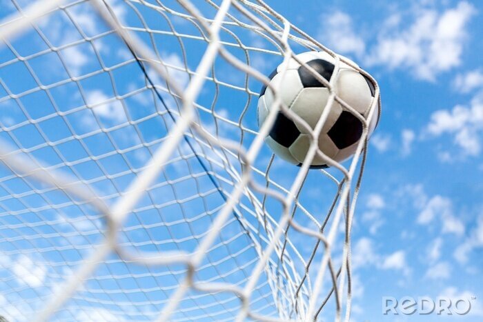 Fototapete Ball im Netz vor dem Hintergrund des Himmels