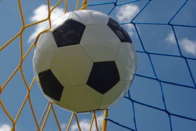 Fototapete Ball im zweifarbigen Netz