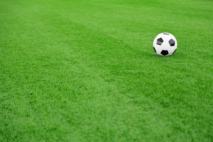 Fototapete Ball in der Ecke des Rasens