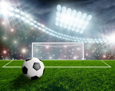 Fototapete Ball vor dem Strafraum