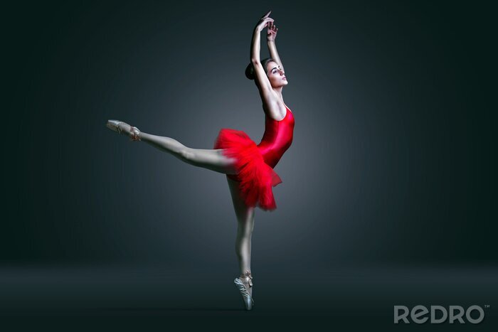 Fototapete Ballet mit dunklem Wandhintergrund