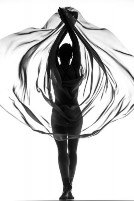 Fototapete Ballett mit Schal auf weißem Hintergrund