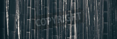 Fototapete Bamboo Grove Panorama in Arashiyama, Kyoto, Japan.