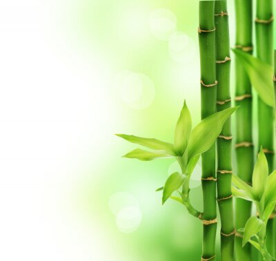 Bambus 3D auf abstraktem Hintergrund
