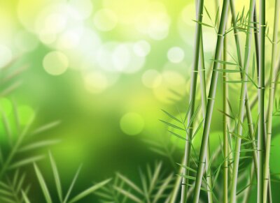 Fototapete Bambus 3D mit Blättern