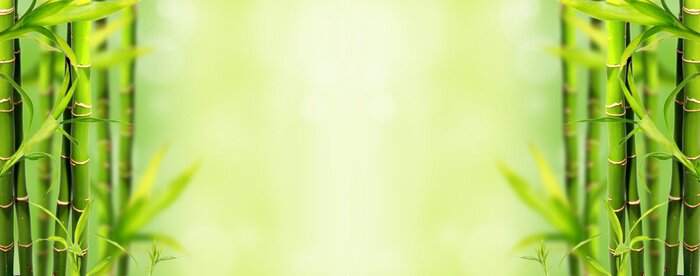 Fototapete Bambus am Hintergrund abstrakt