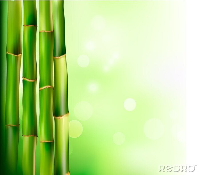 Fototapete Bambus auf einem grünen abstrakten Hintergrund