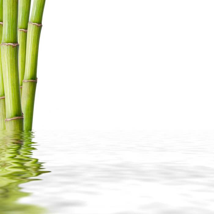 Fototapete Bambus im Wasser