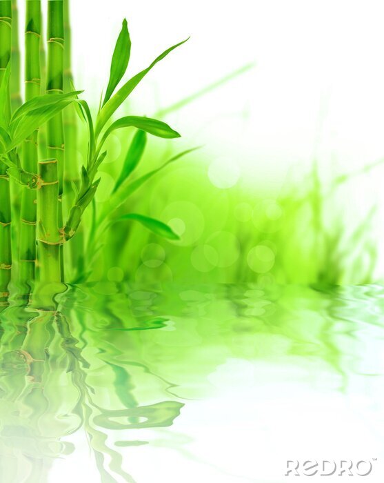 Fototapete Bambus mit Blättern am Wasser