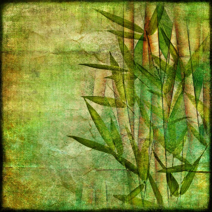 Fototapete Bambus-Motiv Vintage