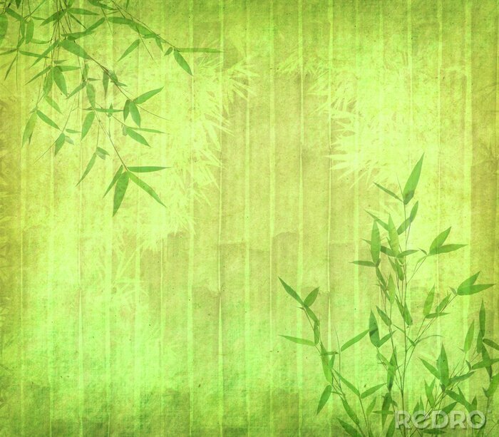 Fototapete Bambusblätter auf Textur