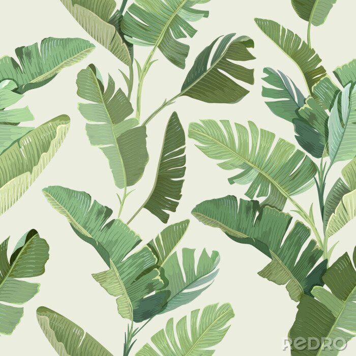 Fototapete Bananenblätter auf hellem Vintage-Hintergrund
