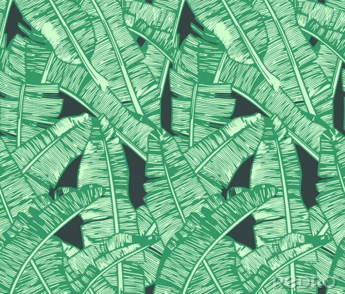 Fototapete Bananenblätter Muster
