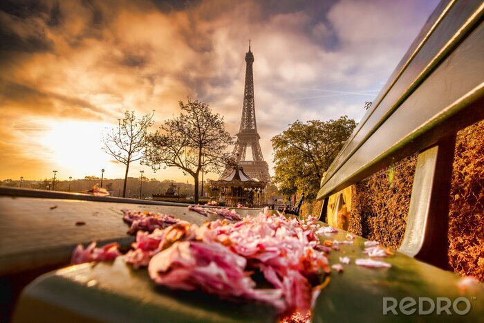 Fototapete Bank und Eiffelturm bei Sonnenaufgang