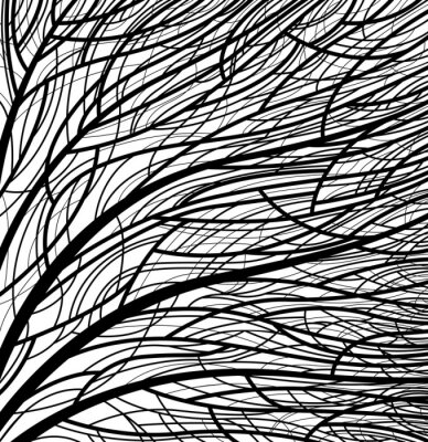 Fototapete Baum schwarz-weiß
