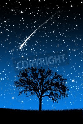 Fototapete Baum und fallender Stern